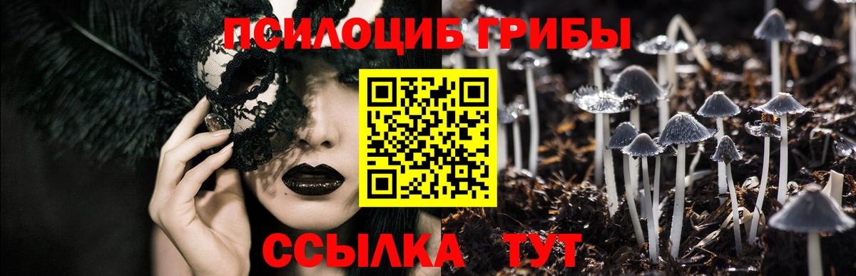 Галлюциногенные грибы Psilocybine cubensis Одинцово